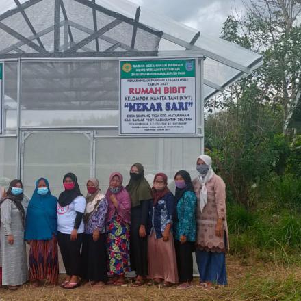 Pengembangan Program Pekarangan Pangan Lestari (P2L) oleh KWT “MEKAR SARI” Desa Simpang Tiga