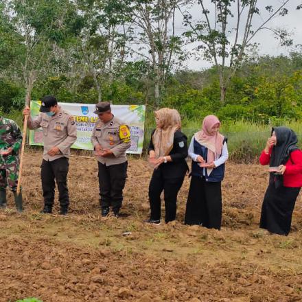 Farm Field Day (Hari Temu Lapang) di Lahan KWT Mekar Sari Desa Simpang Tiga